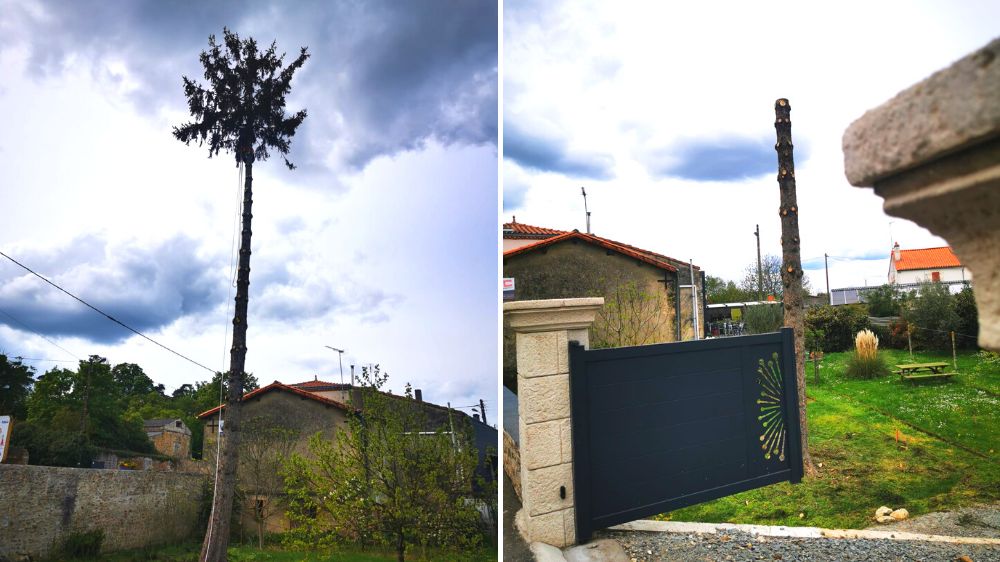 Nouveau service d'élagage chez Jardins de Vendée ! - Jardins de Vendée