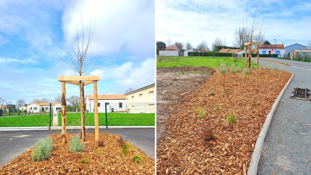 La Roche-sur-Yon - création d'espaces verts en vendée.jpg