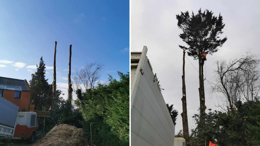 La roche sur yon - Abattage par démontage à Chantonnay (85).jpg